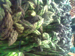 test product